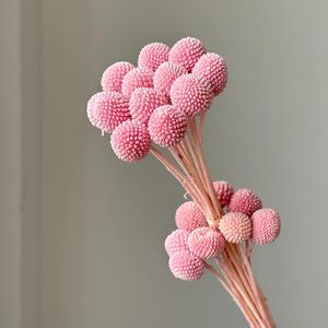 Boules dorées éternelles naturelles préservées en gros, solution tout-en-un pour la décoration de mariages, de la fête des Mères et de Noël - Product Image 4