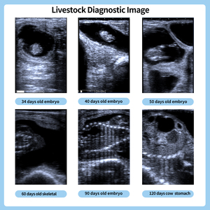 Handheld Veterinary <strong>Sonogram</strong> for Farm <strong>Animals</strong> Ultrasonic Pregnancy Diagnosis in Dogs Sheep Pigs Cattle Ultrasound for Goats