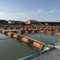 Bouée cylindrique flotteurs d'aquaculture cages de pêche ponton flottant avec barrage de marche pollution des déchets de rivière tenant barrière flottante