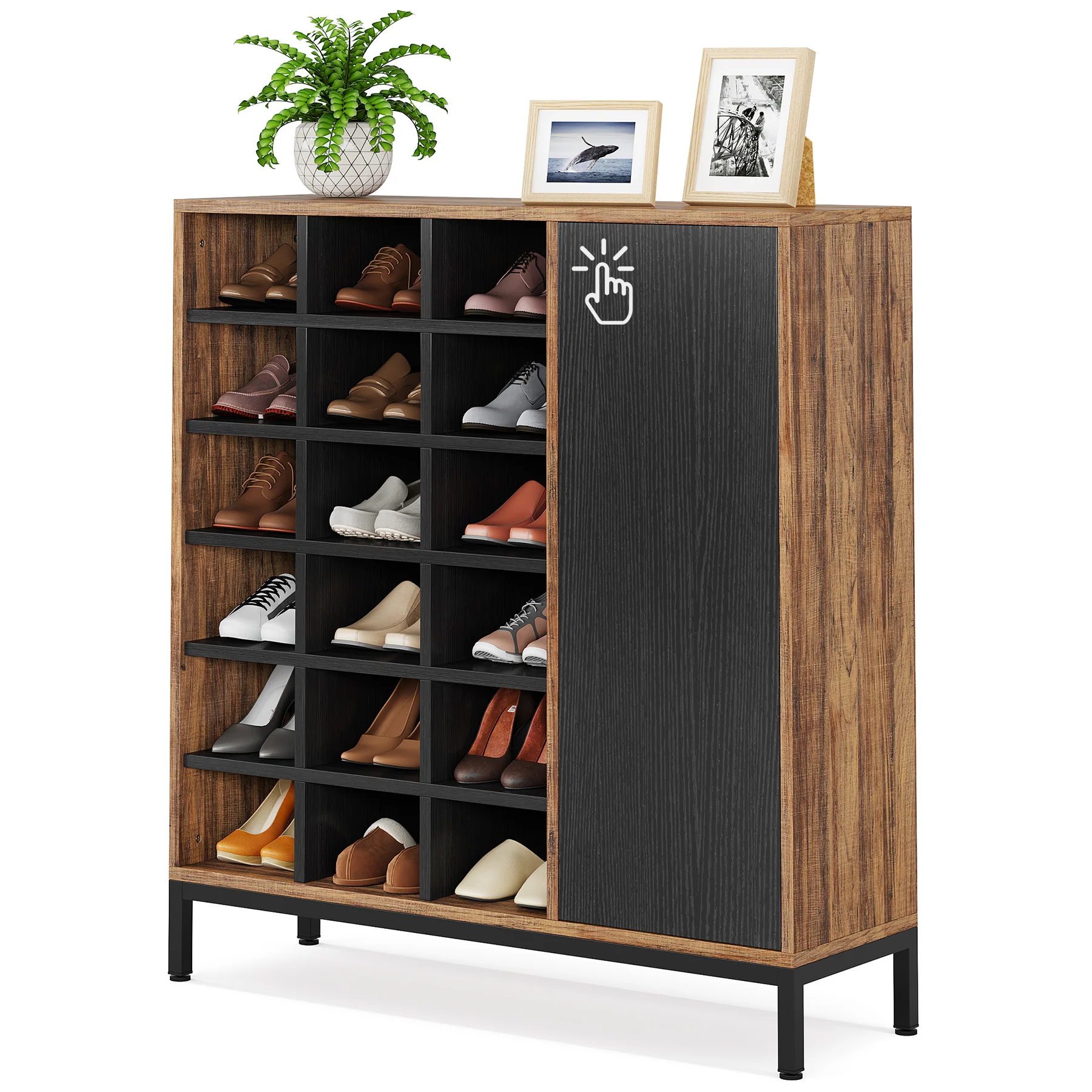 Shoe Rack with Glass Door Stylish Storage Solutions