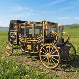2026 Chariot royal électrique de luxe noir du fabricant chinois, équipement de parc d'attractions à vendre - Product Image 1