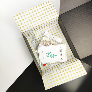 Tùy chỉnh in logo 50x70cm logo in gói mô giấy quần áo giày gói mô giấy - Product Image 3