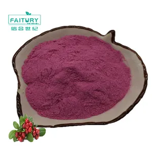 Customized Packaging Granular Instant Organic Cranberry Powder Beverage Cranberry Dry Powder