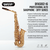 Wholesale/OEM/Factory Price Professional Performance of Alto Saxophone in Brass Flat E-key, Wind Instruments for Adult Beginners