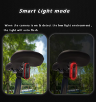 Hochintensives Rotes USB-Aufladbares LED-Fahrrad-Rücklicht Wasserdichtes Sicherheits-Warnblinklicht Zweiwege-Autoalarm