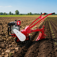 Motoculteur à chaîne EAGLE POWER avec moteur 7HP pour un labourage efficace