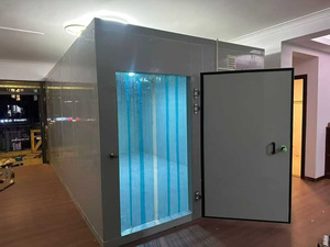 Container Refrigerato/Congelatore <span class=keywords><strong>Solare</strong></span> Commerciale Compatto da <span class=keywords><strong>20</strong></span> piedi con Copeland Emerson per Pesce, Verdura, Frutta, Gelato - Product Image 1