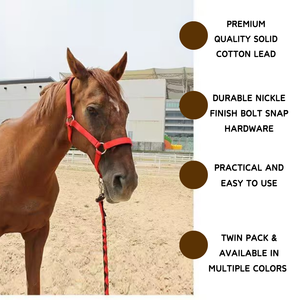 Correa para Perros Resistente de 2 Metros, Personalizada, Duradera, Trenzada, de Nailon Suave, Sólida, Ajustable, con Liberación Rápida - Product Image 5