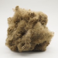 Fibre de polyester recyclée HCS 7D/15D*32/51/64mm pour le contrôle des odeurs et de l'humidité, rembourrage pour tapis pour animaux, rembourrage pour jouets, rembourrage pour Eleanor