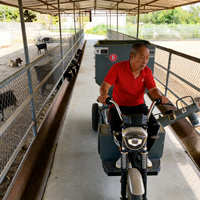Chariot d'alimentation électrique antidérapant pour moutons, conception de sécurité pour sols de grange mouillés, matériel d'élevage