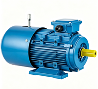 Moteur asynchrone triphasé YEJ-71-4 AC, efficacité IE3, protection IP55/IP56/IP65, 220V-460V, commande personnalisable