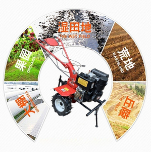 Precios en Bangladesh y Tanzania de Mini Rotocultivadores de 5.5Hp y 12Hp, Cultivadores Rotatorios, Cultivador Rotatorio, Motocultor - Product Image 5
