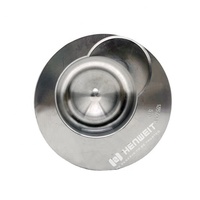 PISTON pour RVI MIDR 635.40 135MM 2094100 80041200 90947600 885585 87-335900-00 5000014401 8733590000 5000666861 PISTON