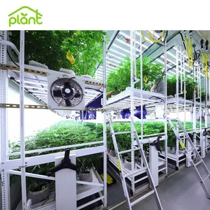 Indoor Farming Mushroom Vertical Grow System Hydro ponic Vertical Grow Rack