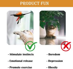 Jouets pour animaux de compagnie écologiques et amusants avec plumes, bâtonnet amusant pour chat, bâtonnet de chat, jouet pour chat - Product Image 5