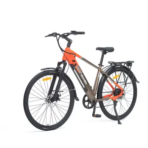 36V 10.4AH batteria integrata mozzo posteriore motore pendolarismo elettrico bicicletta elettrica City Bike