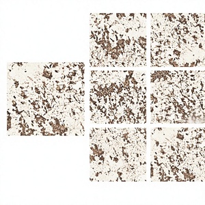 Carreaux de porcelaine brillants Vistaar Brand Alabaster Beige 800x800mm (80x80cm) aspect marbre pour sol et mur, Grenada - Product Image 3