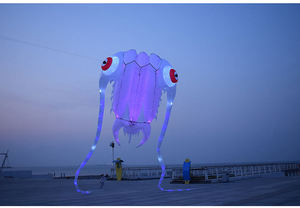 Cometas Luminosas, Juguetes para Exteriores, Cometas Profesionales para Playa, el <span class=keywords><strong>Cometa</strong></span> Más Vendido para Niños - Product Image 4