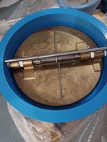 Válvula de Retención Tipo Wafer VEYRON con Cuerpo de Hierro Dúctil y Disco de Acero Inoxidable, Prevención de Reflujo, Normas BS/EN/DIN3202 API594, Modelo de Doble Retención