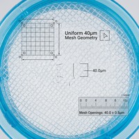 Tamis en nylon stérile jetable de cellules de filtres de laboratoire de 40um 70um 100um emballé individuellement