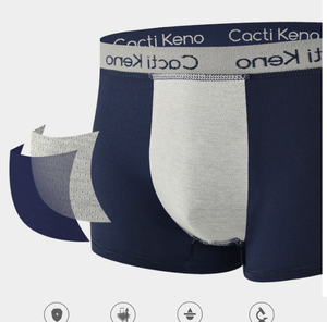 Toptan stok Lot için iç çamaşırı adam özel klasik pamuk Boxershorts erkek temelleri Boxer külot - Product Image 4