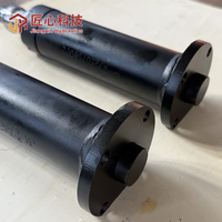 Vérin hydraulique à piston électrique JX personnalisé de haute qualité 24MPa en acier chromé dur pour transpalette, garantie 1 an