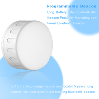 Holyiot Hız Ölçer Bluetooth Beacon Su Geçirmez Konum Belirleyici Ble 5.0 Eddystone Ibeacon Pazarlama İçin