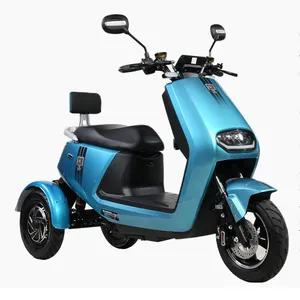 Cheap price high speed three wheel electric scooter 1000w tumbler electric motorcycle