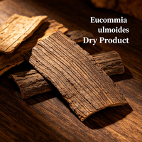 Écorce d'Eucommia Ulmoides (Eucommiae Cortex) – Matière première végétale pour tisanes, boissons, arômes, encens, savons et masques