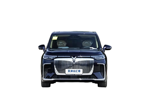 Voyah Dream: MPV Efficiente con Impianto Ibrido per Costi Operativi Ridotti - Product Image 2