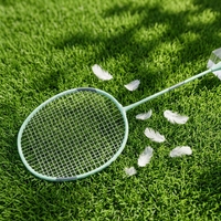 Raquette de badminton intégrée en aluminium et fer à haute élasticité, durable pour les débutants, entraînement en intérieur et en extérieur, légère