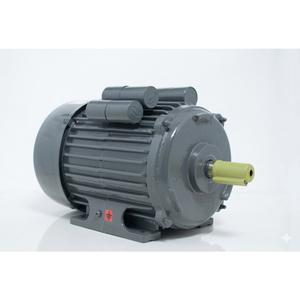 มอเตอร์เหนี่ยวนำเฟสเดียว BI-3-SPL-CI 5 แรงม้า 3.7 กิโลวัตต์ 210-230 โวลต์ 1440 รอบต่อนาที TEFC CSCR ฐานเหล็กหล่อ - Product Image 1