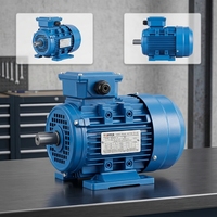 Moteur asynchrone monophasé AC série YL 10 CV 220 V 2 pôles 50/60 Hz, efficacité IE1, pour moulin industriel