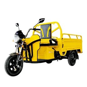 Tricycle High Quality Closed Express Tricycle For Adults Electric And New Asia Auto Rickshaw Price