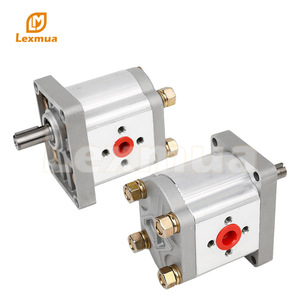 Pompe à engrenages hydraulique Shangze Hydraulics CBN F304 F306 F310 F314 F316 F320 F325 à montage sur bride, entraînement électrique, arbre vertical - Product Image 1