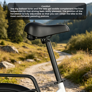 Vélo Électrique Urbain 26 Pouces à Cadre Basé, Moteur 250W, Batterie 504Wh, 7 Vitesses, avec Porte-Bagages - Meilleure Vente LW-EFK009 - Product Image 4