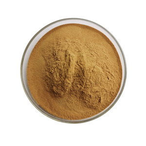 天然サポニン90% 粉末トリビュラスエキス - Product Image 5