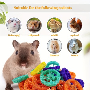Bolas de Luffa Natural con Forma de Dibujos Animados para Mascotas, Mordedores para Limpiar los Dientes, Golosinas Masticables para Loros, Hámsteres, Gatos y Perros, de 4-8 cm - Product Image 3