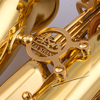 Music Instrument Alto Sax With Case From Manufacture Wholesale and Great Sell