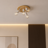 Meilleure Vente : Plafonnier Décoratif en Aluminium Effet Bois pour Salon, Luminaire Mural Intérieur en Aluminium et Verre