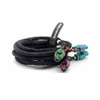 Cable LVDS Dual HSD de 4+2 Pines Personalizado con Código de Color para Sistemas ADAS y Cámaras Automotrices