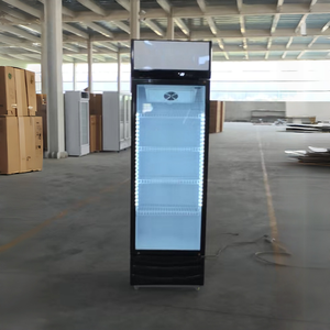 Réfrigérateur Vitrine Verticale 300L, Meilleure Vente, Électrique, Économique, pour Crèmes Glacées et Boissons, Congélateur de Présentation - Product Image 2