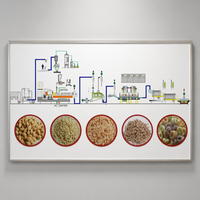 Équipement de soufflage personnalisé / Système d'extrusion pour chips de crevettes / chips de riz / chips de maïs