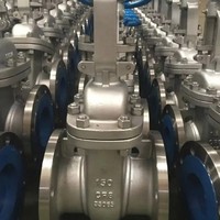 Válvula de Compuerta de Hierro Dúctil Industrial Premium con Vástago Fijo y Sellado Suave, con Cuña de Acero Inoxidable 316L