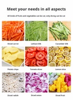 Commerciële elektrische groentesnijmachine van roestvrij staal, multifunctionele voedselverwerker/snijmachine voor aardappel, wortel en ui