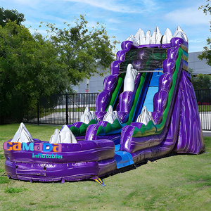 Toboggan aquatique gonflable personnalisé violet pour enfants et adultes, avec piscine, idéal pour les fêtes et la <span class=keywords><strong>location</strong></span> - Product Image 1