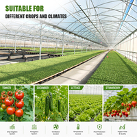 Serre multi-chapelles en film PE haute résistance au vent avec structure renforcée pour serres tropicales multi-chapelles