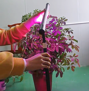 Lámpara LED de Espectro Completo para Plantas, Invernadero, Vegetales, <span class=keywords><strong>Pitahaya</strong></span>, Fruta del Dragón, LED de Cultivo de 9W 11W para Jardín Doméstico - Product Image 6