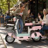 Vélo électrique deux places pour adultes, moteur central 48V 450W, batterie au plomb-acide, cadre en acier au carbone, vélo de ville pour trajets quotidiens