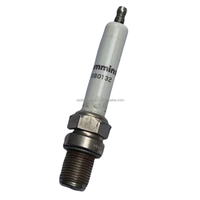 Pièce détachée 4380132 5544762 4390446 Bougie d'allumage préchambre pour générateur de gaz Cummins